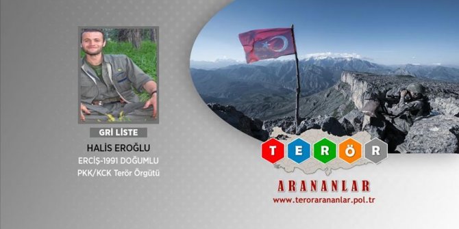 Gri listede aranan terörist Erzurum'da etkisiz hale getirildi
