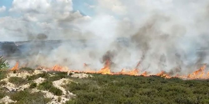 Tuzla'da otluk alanda yangın 