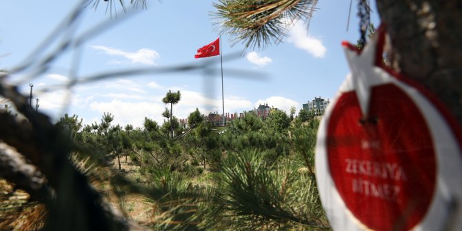 Ankara'nın en büyük 15 Temmuz Şehitler Ormanı