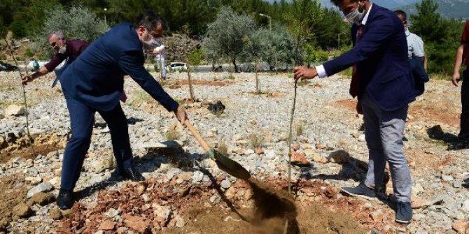 Fidanlar demokrasi şehitleri anısına toprakla buluştu