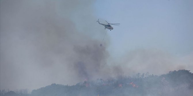 Aydın'da orman yangını çıktı