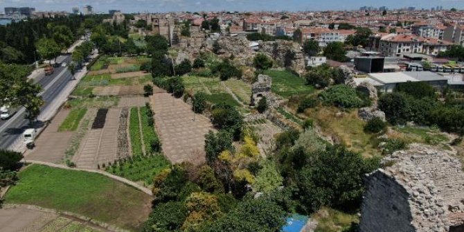 Sur tehlikesi altında yaşam