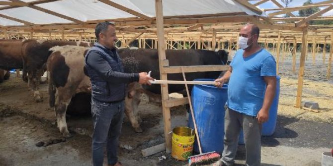 Kurban pazarlarında hareketlilik başladı