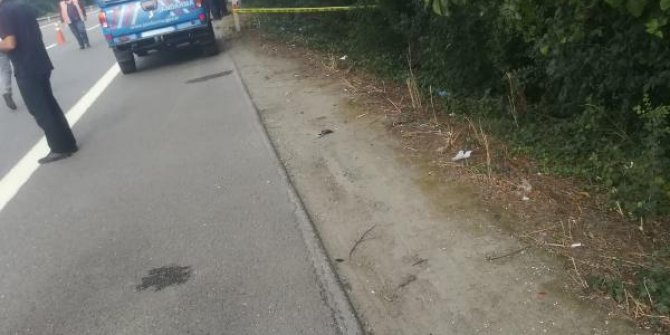 Suriyeli kişi yol kenarında ölü bulundu
