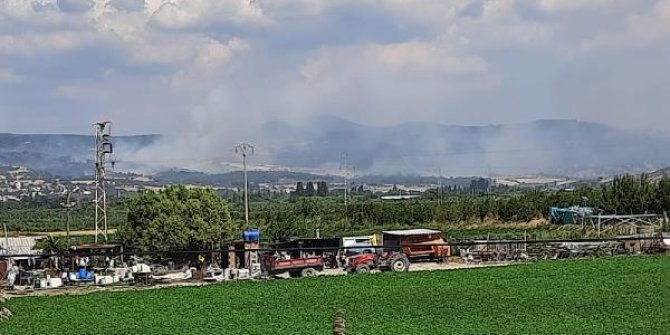 Çanakkale'de orman yangını