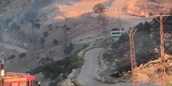Hasankeyf'te 2 bin dönüm kırsal alan yandı