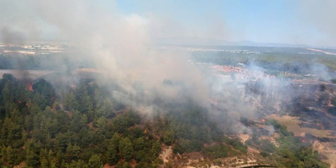 Antalya Aksu'da orman yangını