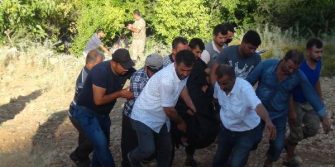 Kestiği ağacın altında kalan kişi öldü