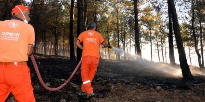 Kahramanmaraş'ta orman yangını