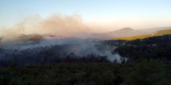 Manavgat'ta orman yangını