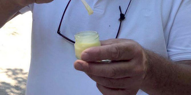 Kilosu 8 bin liradan satılan arı sütü talebine yetişemiyorlar