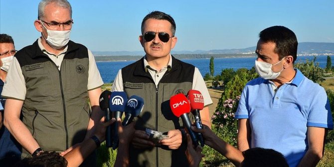 Bakan Pakdemirli: Tüm orman yangınları kontrol altında