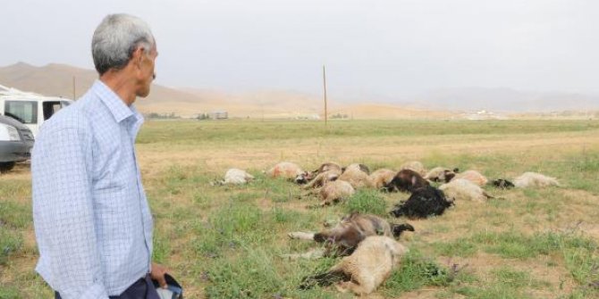 Yüksekova'da yıldırımlar can aldı