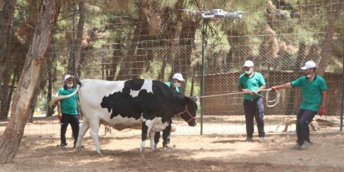 Gaziantep'te, 'kurban yakalama timi' eğitimini tamamladı