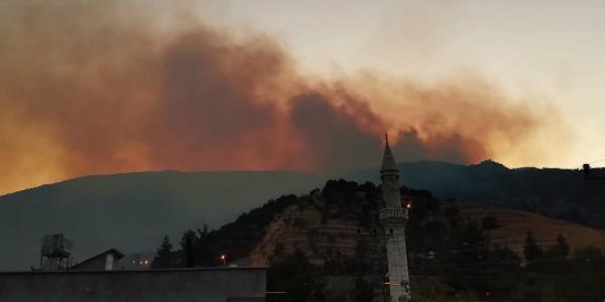 İslahiye'de orman yangını