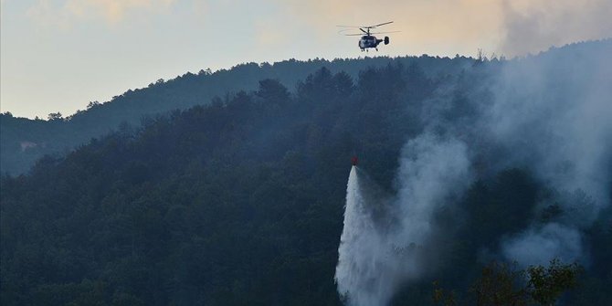 Çanakkale'deki orman yangını kontrol altına alındı