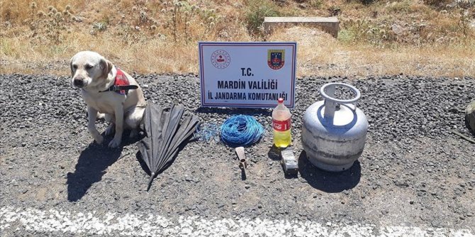 Mardin'de teröristlerce tuzaklanan 12 kilogram el yapımı patlayıcı imha edildi