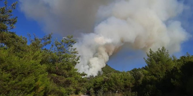 Manisa'da orman yangını çıktı