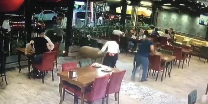 Kurbanlık koçun restorana girdiği anlar kamerada