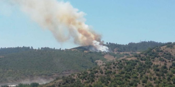 Balıkesir Dursunbey’de orman yangını