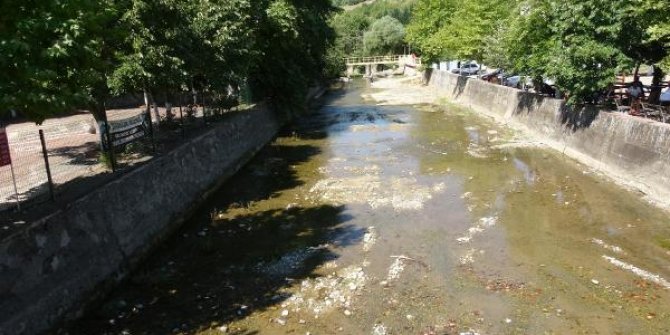Suyun rengi ve kokusu değişince kurban atıklarının dereye döküldüğü ortaya çıktı