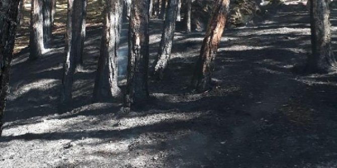Soğuksu Milli Parkı'nda orman yangını
