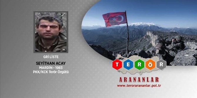 MİT'in operasyonunda etkisiz hale getirilen terörist 'gri liste'den