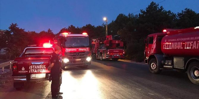 İstanbul'daki orman yangın söndürüldü