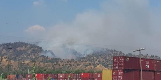 Aydın’da zeytinlik alanda yeniden başlayan yangın evlere yaklaştı