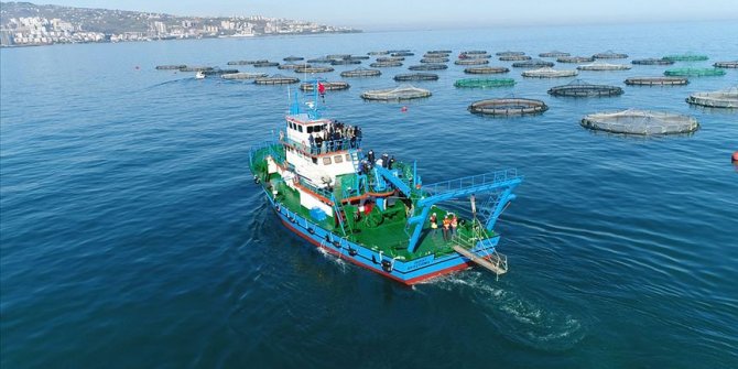 Karadeniz'in en çok ihracat gerçekleştiren ili Trabzon