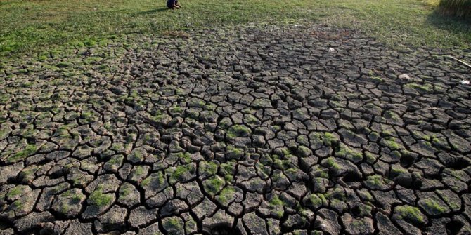 Dünyada yaklaşık 700 milyon insan 43 farklı ülkede su kıtlığı çekiyor
