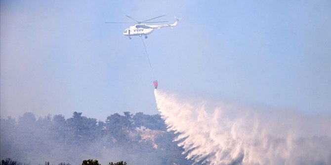 Çanakkale'de orman yangını çıktı