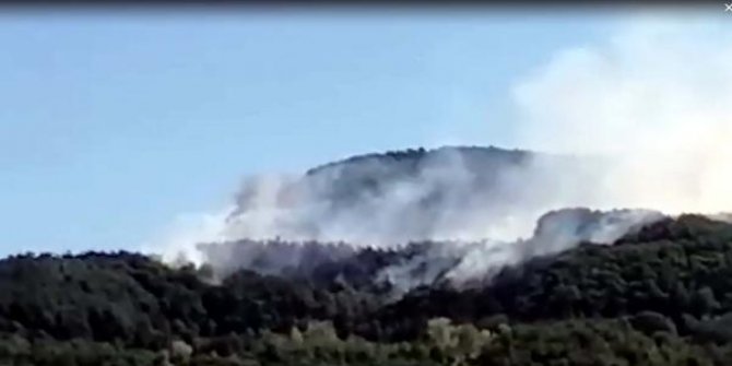 Kastamonu'da orman yangını