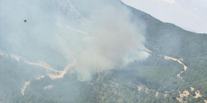 İzmir'de çıkan orman yangınına müdahale ediliyor