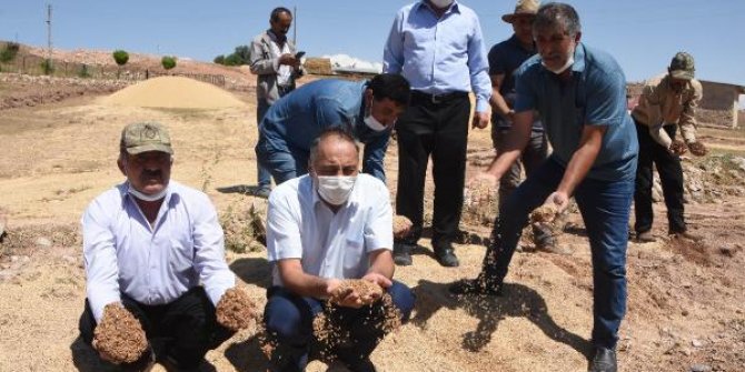 Bir hafta arayla iki kez dolunun vurduğu köyde, mahsulü sel götürdü
