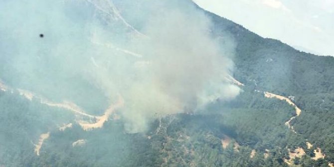 Menderes'te, ağaçlandırma sahasında yangın