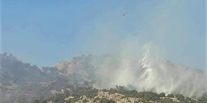 Kepsut'ta orman yangını