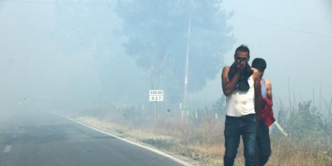 Sakarya’da orman yangını