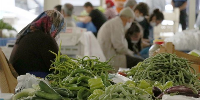 Ata tohumunu toprakla buluşturup sertifikalı ve organik ürünler yetiştiriyorlar