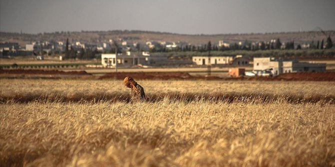 Esad rejimi durmak bilmiyor: 100 kişiyi mayın tarlasına sürdü