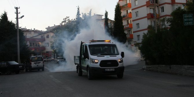 Haşereler ilaçlanıyor