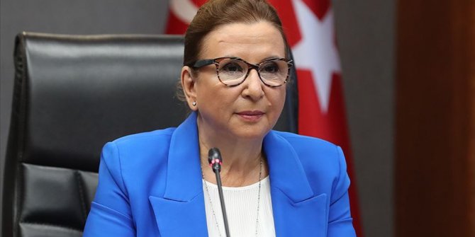 Ticaret Bakanı Pekcan: İkinci el taşıt satışında yeni dönem başladı