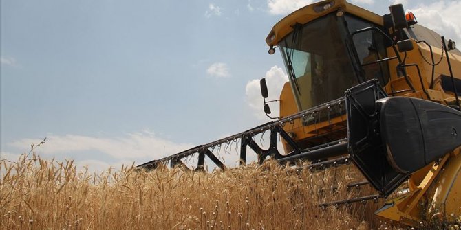 TMO’dan üreticilere 5,2 milyar liralık ödeme