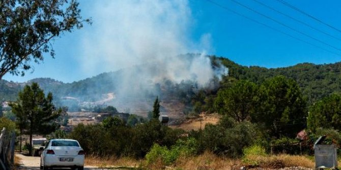 İş makinesinde çıkan yangın ormana sıçradı