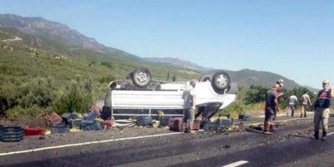 Üzüm taşıyan kamyonet takla attı: 1 yaralı