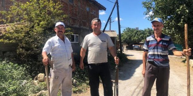 Fındık hırsızlarına karşı nöbet tutuyorlar