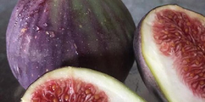 Dünyada rakibi olmayan siyah incir, Avrupa pazarını fethediyor