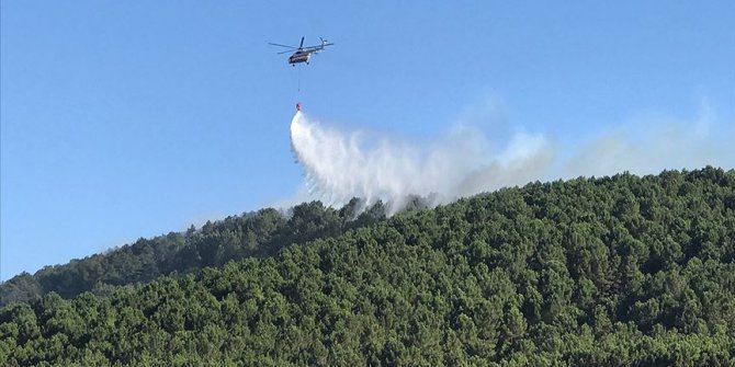 İstanbul'da Aydos Ormanı'nda yangın