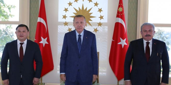 Cumhurbaşkanı Erdoğan, Kırgızistan Meclis Başkanı Cumabekov'u kabul etti
