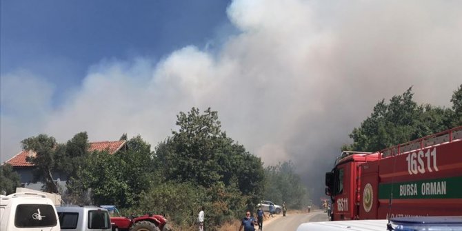 Bursa'da yerleşim bölgesi yakınında orman yangını